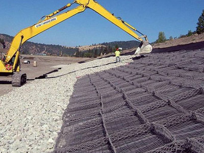 雷諾護墊 雷諾護墊