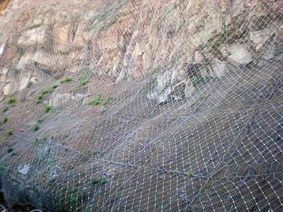 主動(dòng)防護(hù)網(wǎng) 主動(dòng)防護(hù)網(wǎng)